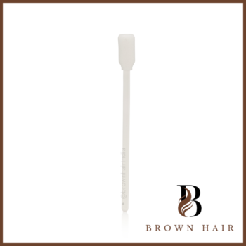 Sponge Brushes – One Size 5″, Dozen